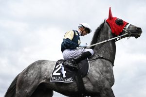 Δεν είναι μόνο οι Ελληνίδες μάνες – Αγγλίδα μητέρα αναβάτη ψάχνει νύφη…για τον γιο της, vid