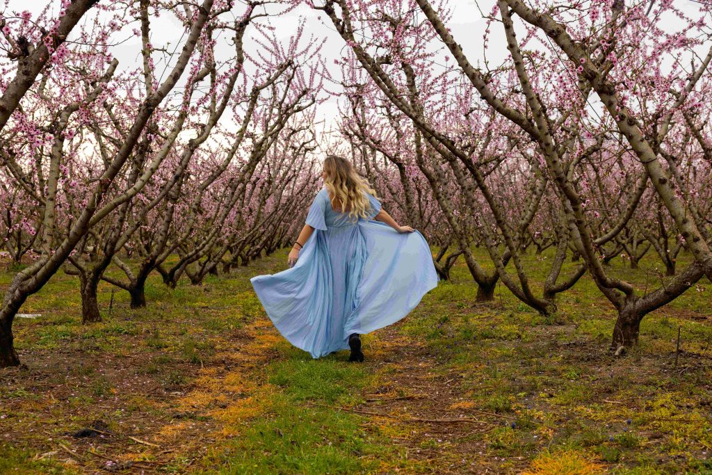 Αφιέρωμα της New York Post στις ανθισμένες ροδακινιές της Ελλάδας: «Δεν έχω ξαναδεί κάτι τέτοιο» – ΦΩΤΟ