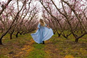 Αφιέρωμα της New York Post στις ανθισμένες ροδακινιές της Ελλάδας: «Δεν έχω ξαναδεί κάτι τέτοιο» – ΦΩΤΟ