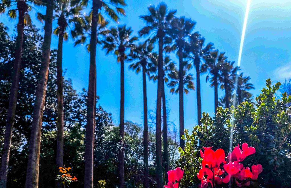 Ανοιξιάτικος ο καιρός σήμερα: Πού θα βρέξει – Στους 19 βαθμούς η θερμοκρασία