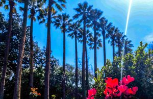 Αίθριος ο καιρός σήμερα 20/4 – Ανεβαίνει η θερμοκρασία