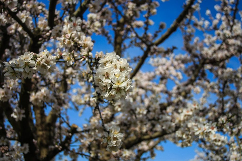 Πρωταπριλιά σήμερα;