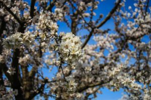 Πρωταπριλιά σήμερα;