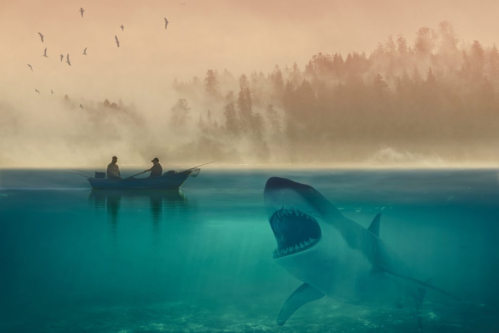 Έφηβος ανακάλυψε αρχαίο δόντι του θρυλικού γιγάντιου καρχαρία Μεγαλόδοντα στα ανοικτά της Φλόριντα (ΒΙΝΤΕΟ)