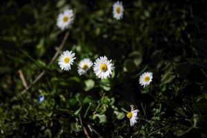 Αίθριος με τοπικές νεφώσεις ο καιρός σήμερα – Πού θα κυμανθεί η θερμοκρασία