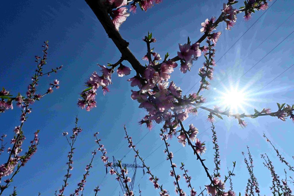 Με τοπικές νεφώσεις και χωρίς αξιόλογη μεταβολή ο καιρός σήμερα – Πού αναμένεται να βρέξει