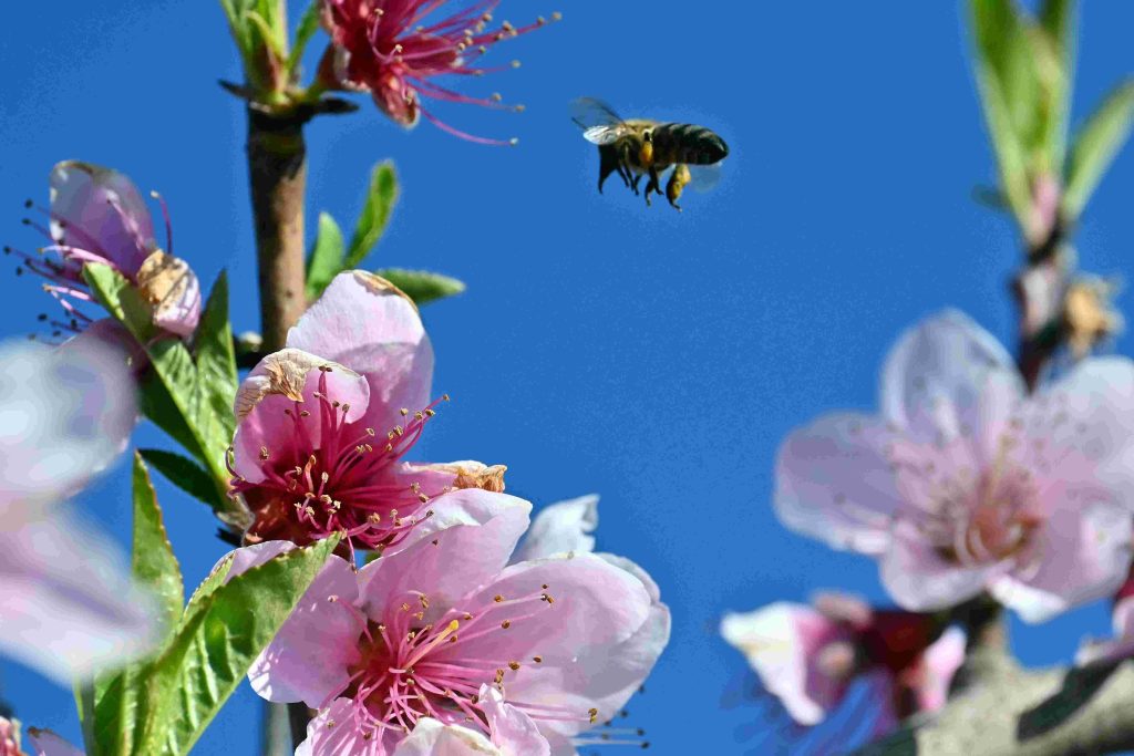 Αίθριος σήμερα ο καιρός με τοπικές συννεφιές – Πού είναι πιθανό να βρέξει