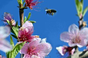 Αίθριος σήμερα ο καιρός με τοπικές συννεφιές – Πού είναι πιθανό να βρέξει