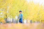 boy japan pixabay