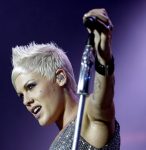 US singer Pink