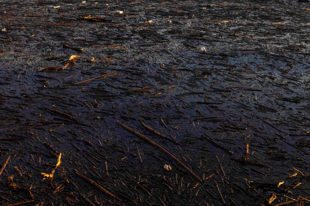 Viral έγινε πάλι ο Θερμαϊκός: Σκουπίδια, φύκια και…ηλεκτρικά πατίνια επιπλέουν! ΒΙΝΤΕΟ