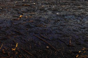 Viral έγινε πάλι ο Θερμαϊκός: Σκουπίδια, φύκια και…ηλεκτρικά πατίνια επιπλέουν! ΒΙΝΤΕΟ