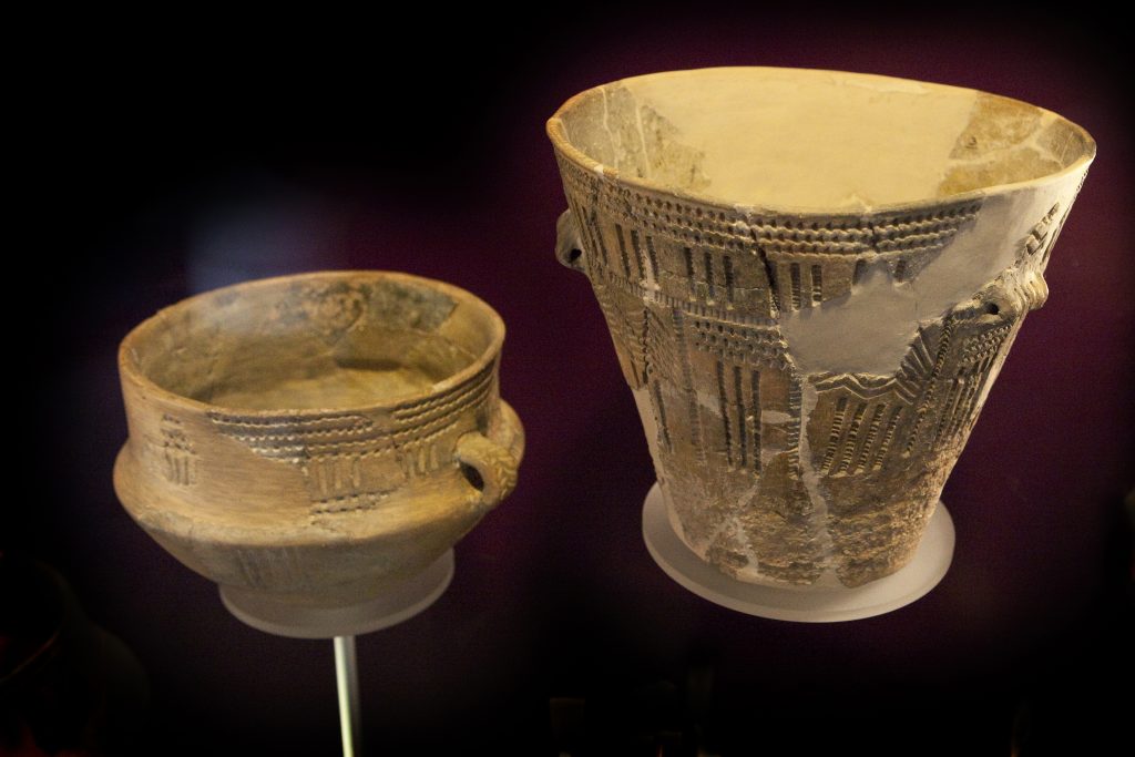 Γάλα χωρίς λακτόζη πριν από 5.500 χρόνια; Τα αναπάντεχα ευρήματα έρευνας στην Πολωνία