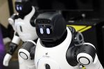 humanoid robot