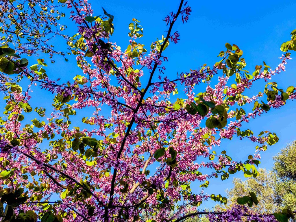 Καιρός: Μικρή άνοδος θερμοκρασίας και λιακάδα σήμερα Κυριακή της Λαμπρής – Πού θα βρέξει