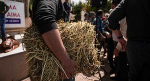 ΥΠΑΑΤ: Έκτακτη οικονομική ενίσχυση 8 εκατ. ευρώ σε τυροκομικές επιχειρήσεις στη Λέσβο λόγω αφθώδους πυρετού