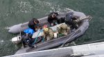 NATO multinational military exercise 'Sea Shield 24' in the Black Sea