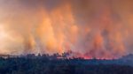 fires