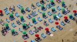 Paralia