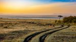 afriki
