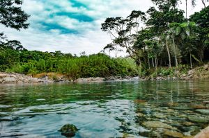 Γιατί δεν υπάρχει ούτε μία γέφυρα στον Αμαζόνιο;