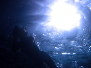 Τι ζει στα σκοτεινά βάθη του Ειρηνικού Ωκεανού; Νέες ανακαλύψεις για τη ζωή στις βαθύτερες τάφρους του πλανήτη