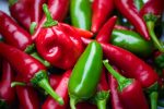 jalapeno piperies