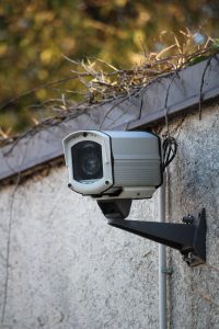Το βίντεο με την βουκαμβίλια και την κάμερα έκανε θραύση στο ελληνικό διαδίκτυο, vid