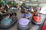 bumper cars