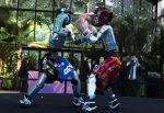 Humanoid robots