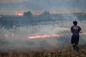 Οριοθετήθηκε η πυρκαγιά στην Περαία – Ολονύχτια επιχείρηση των πυροσβεστών – ΒΙΝΤΕΟ