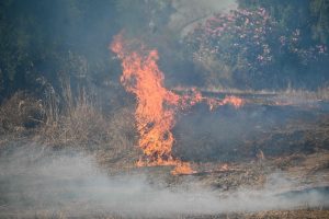 Πυροσβεστική: Δύο συλλήψεις για εμπρησμούς από πρόθεση – 43 αγροτοδασικές πυρκαγιές το τελευταίο 24ωρο