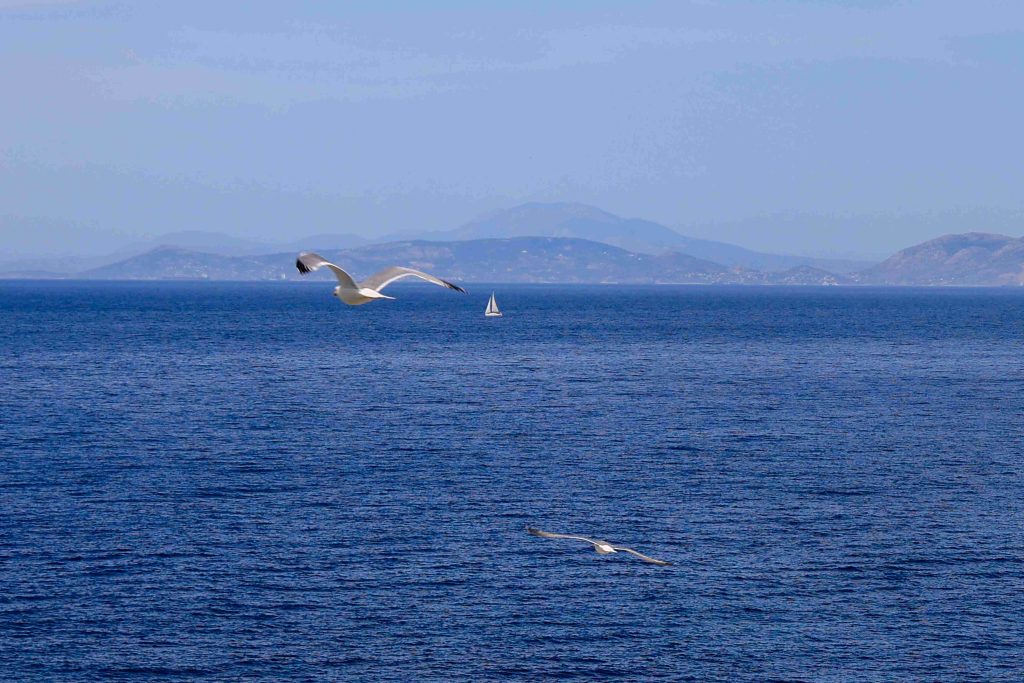 Καλοκαιρινός ο καιρός σήμερα με μελτέμια στο Αιγαίο και υψηλές θερμοκρασίες έως 33 βαθμούς – Πού θα εκδηλωθούν τοπικές βροχές
