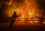 Wildfires rage in southern France
