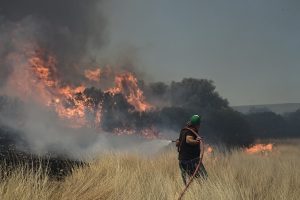 Συγκλονιστικές εικόνες: Δια θαλάσσης η εκκένωση των κατοίκων – Δύσκολες ώρες στη Βοιωτία – ΦΩΤΟ