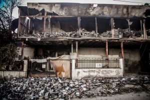 Φωτιά στο Ωραιόκαστρο: 5 εκατ. ευρώ για αποκατάσταση των υποδομών και αρχικό επίδομα στους πολίτες που επλήγησαν