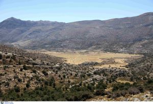 Ερευνητές από 25 κορυφαία πανεπιστήμια βρίσκονται στα Ανώγεια και αναζητούν νέα προϊόντα από τον πλούτο της κρητικής γης
