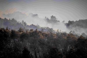Συλλυπητήρια της Ελλάδας για τη φονική πυρκαγιά στην Αλμερία