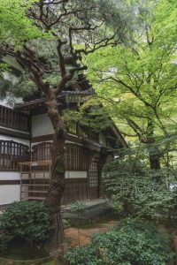 Frank Lloyd Wright: Τα εμβληματικά έργα του κορυφαίου αρχιτέκτονα στην Ιαπωνία (vid, photo)