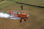 The oldest wing walker