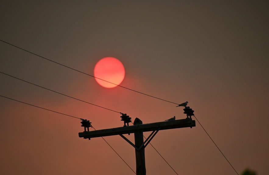 Κόλαση φωτιάς σε Αττικοβοιωτία – Πύρινα μέτωπα σε Φωκίδα και Κεφαλονιά