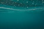 Thalassa