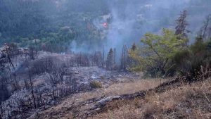 Βελτιωμένη η εικόνα της φωτιάς στον Άγιο Νικόλαο Λακωνίας