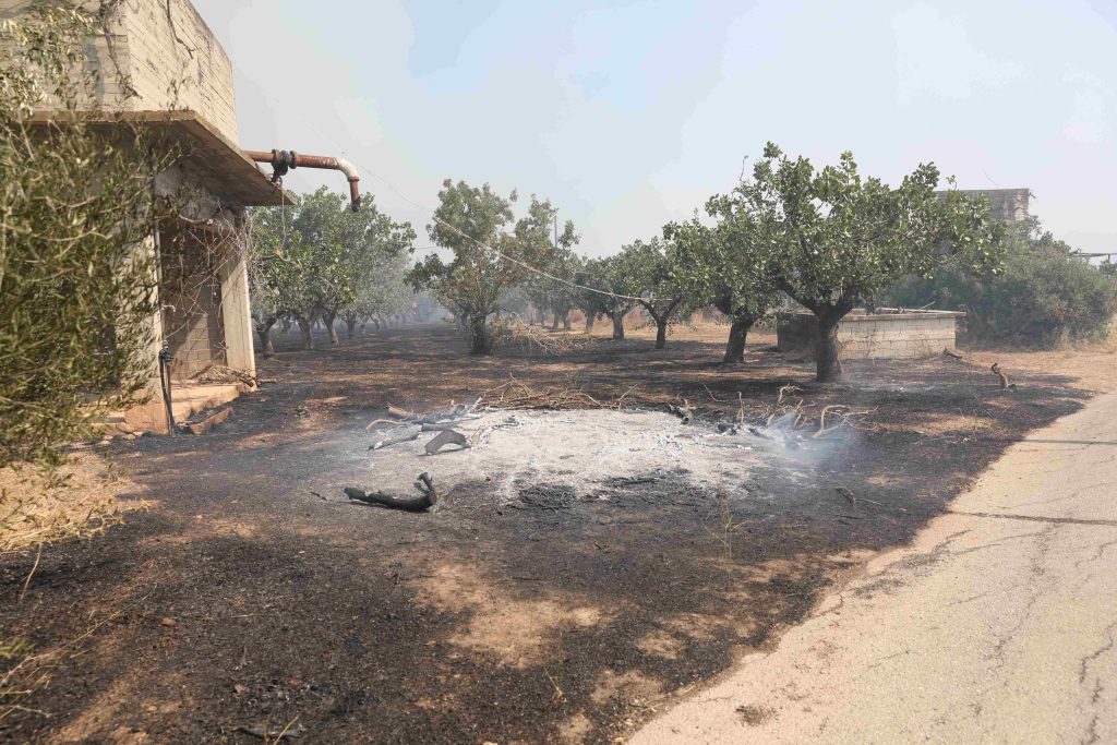 Ενέργειες για την κρατική αρωγή προς τους πυρόπληκτους –  Aυτοψίες στις πληγείσες περιοχές από κλιμάκια της ΓΔΑΕΦΚ