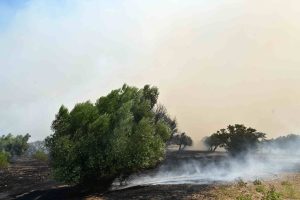 Πυρκαγιές: Οι κυκλοφοριακές ρυθμίσεις που είναι σε εφαρμογή στη Δυτική Αττική