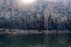 Ρέθυμνο: Μήνυμα αισιοδοξίας από τον τουρισμό μετά τις πυρκαγιές στο νότο