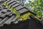 roof pixabay