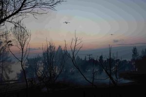 Φωτιά 13ης Αυγούστου στη Χαλκιδική: Παράταση προσωρινής διαμονής πυροπλήκτων