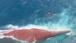 More than 100 people missing after Indonesian passenger ferry capsizes