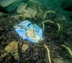 Bythos Underwater Garbage Skoupidia Eurokinissi 7051239